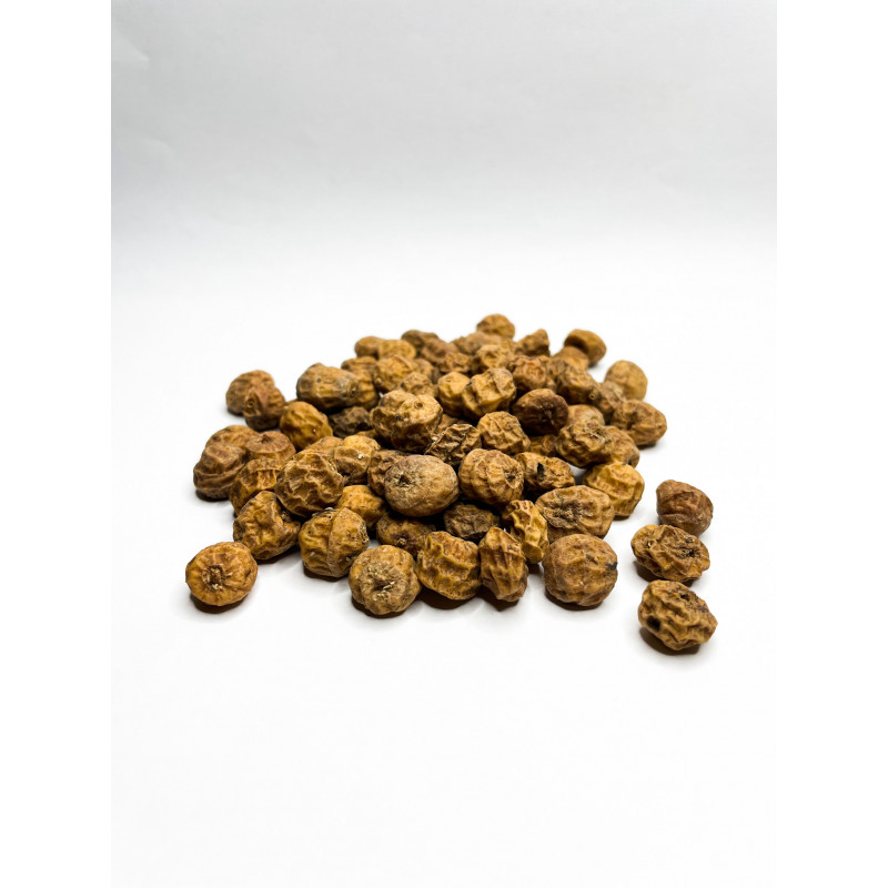 Mountain fox notebook