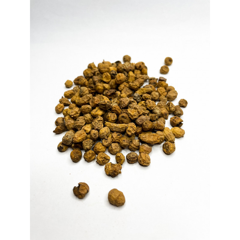 Mountain fox cushion