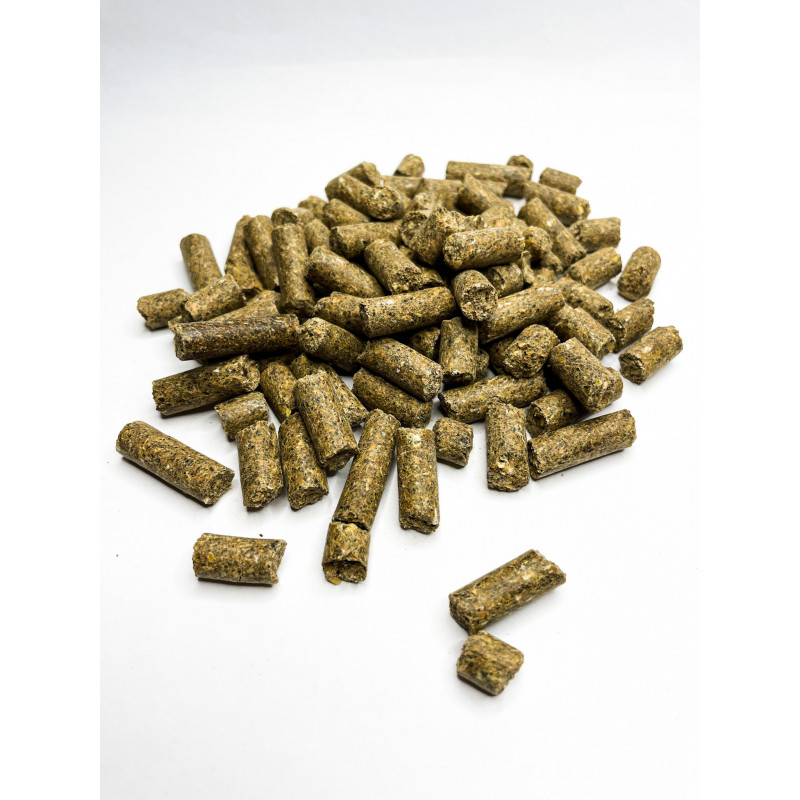 Sac de 5 kg de pellets 100% hêtre pour four à pizza