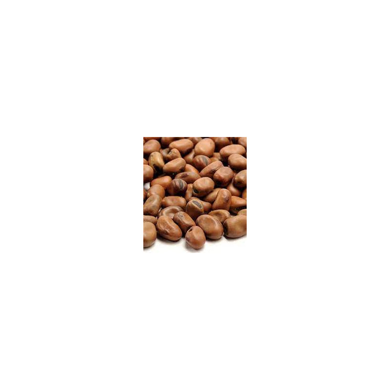 Mug The best is yet to come