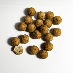 copy of Pop up Blanche