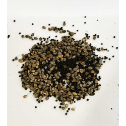 Mélange Micro Graines