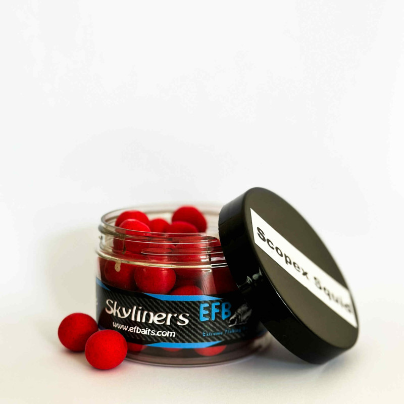 copy of Pop up Blanche